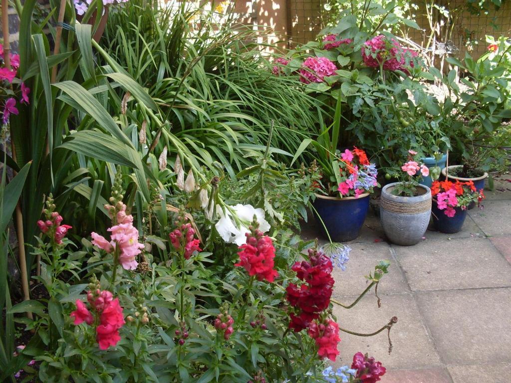 Cambridge House Guest House Eastbourne Ruang foto